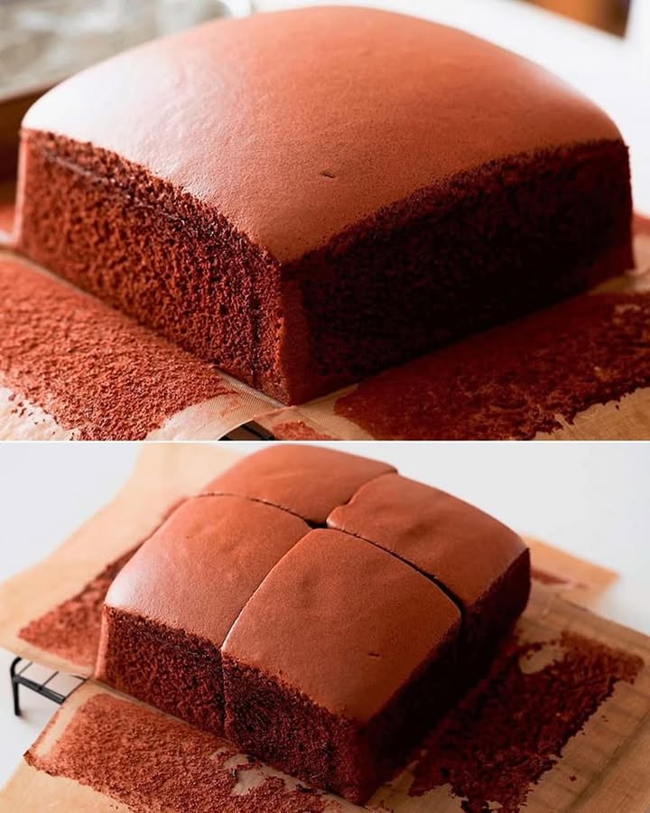 Chocolate Castella Delight: Rich, Moist, and Irresistibly Fluffy 2 chocolate castella delight Elite Cooking Recipes
